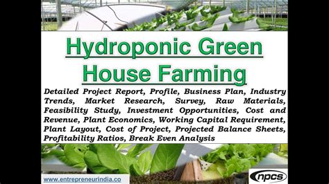 Hydroponics Farm Business Plan